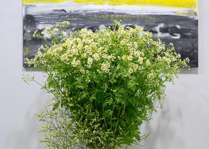 Affittacamere O Magenta Baylon Roma